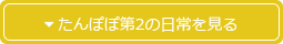 たんぽぽ第2の日常を見る